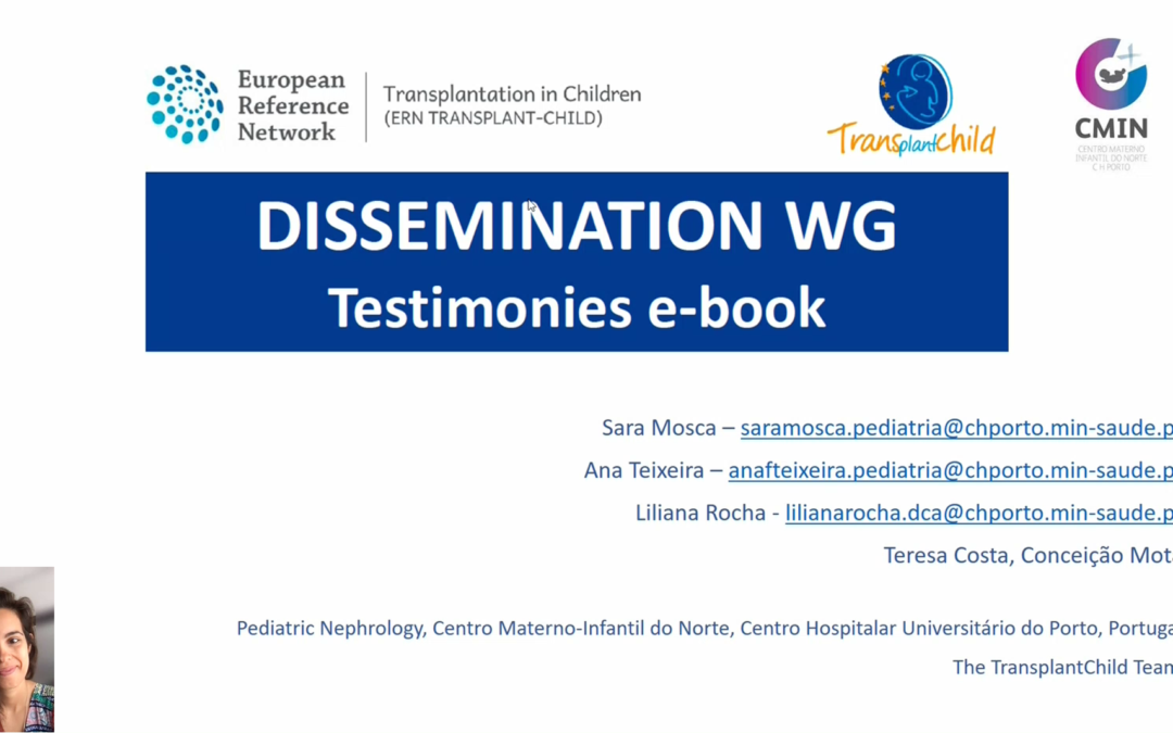 Dissemination WG: Testimonies e book